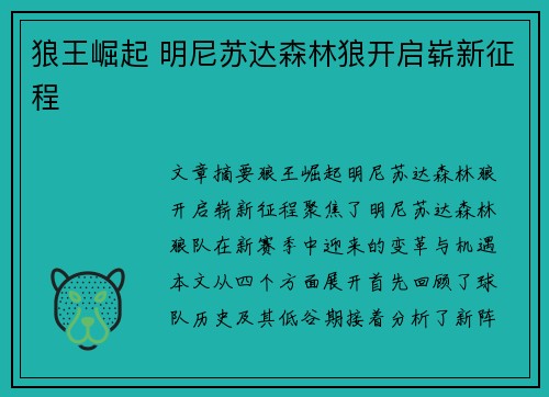 狼王崛起 明尼苏达森林狼开启崭新征程